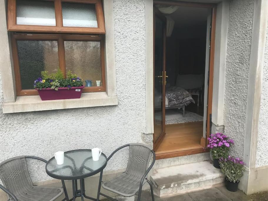 Forest View - Castlewellan, County Down Belfast Exterior photo