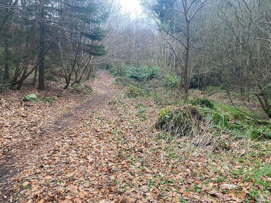 Forest View - Castlewellan, County Down Belfast Exterior photo