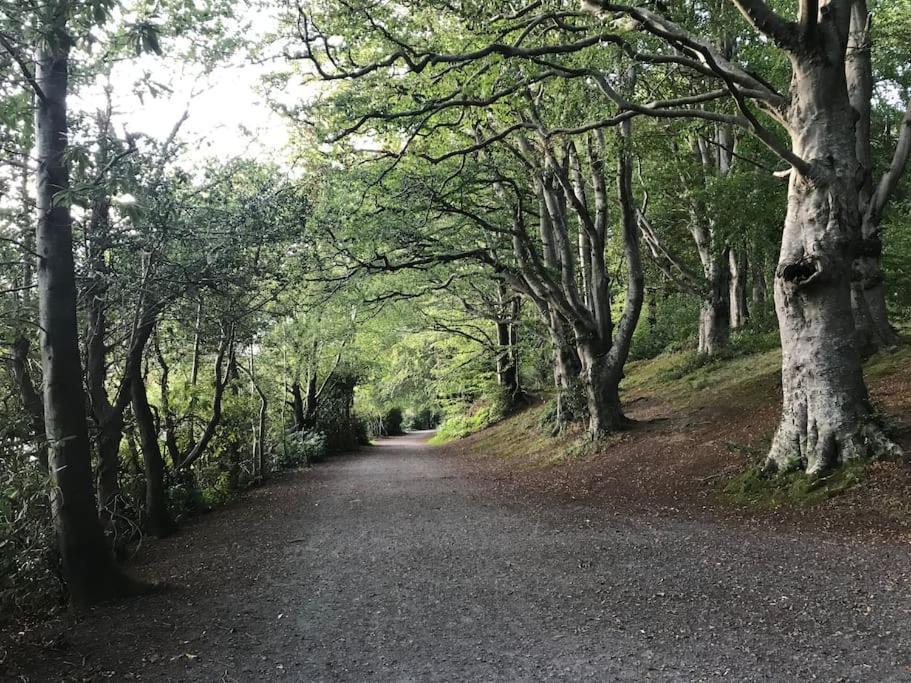 Forest View - Castlewellan, County Down Belfast Exterior photo