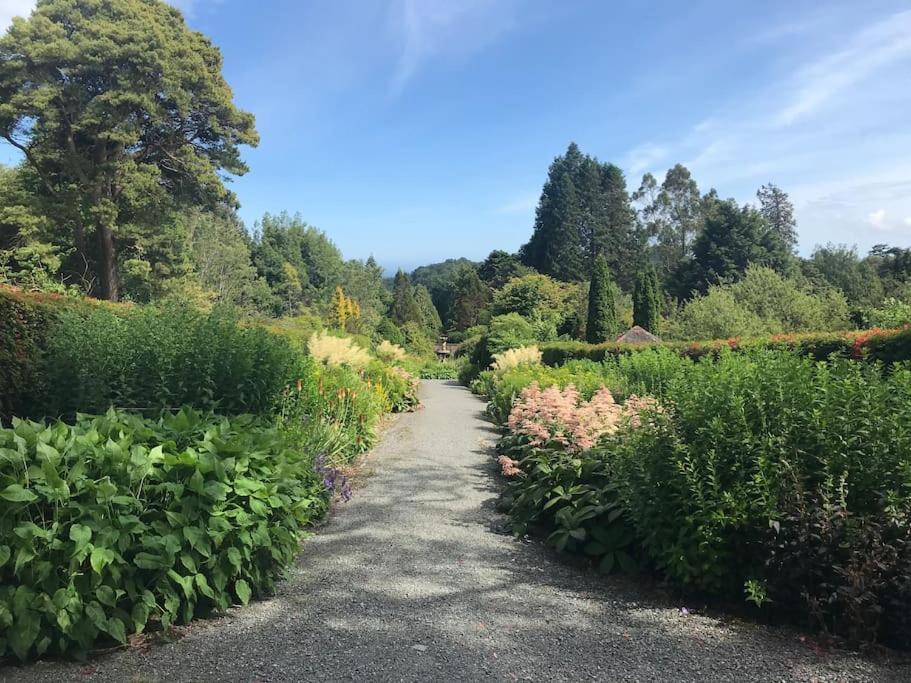 Forest View - Castlewellan, County Down Belfast Exterior photo