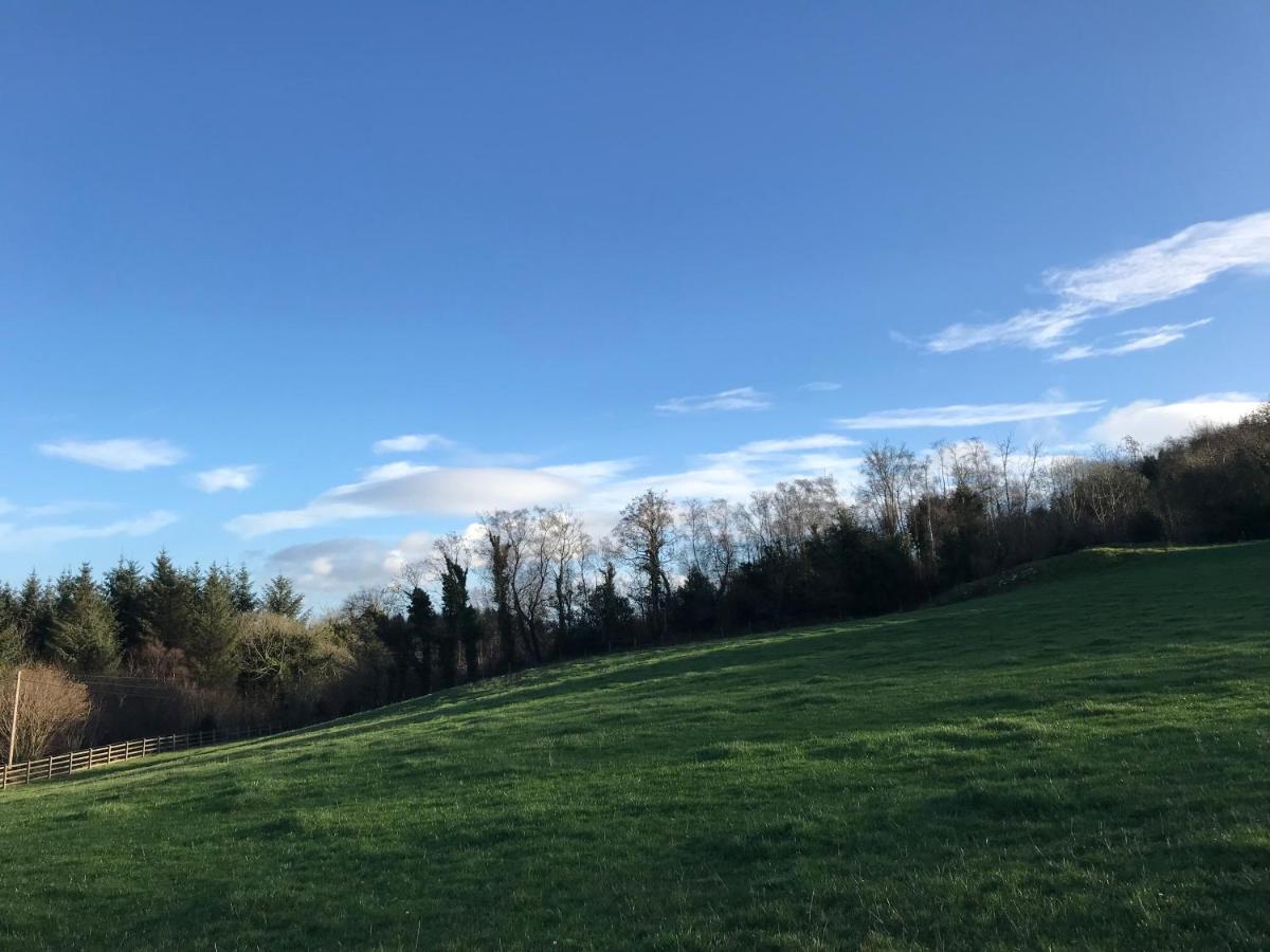 Forest View - Castlewellan, County Down Belfast Exterior photo